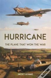 Capa do artigo Hurricane