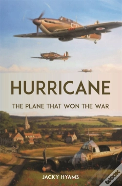 Capa do artigo Hurricane