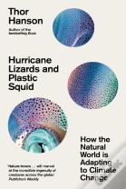 Hurricane Lizards And Plastic Squid