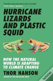 Capa do artigo Hurricane Lizards And Plastic Squid