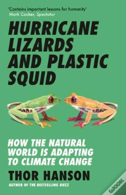 Capa do artigo Hurricane Lizards And Plastic Squid