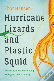 Capa do artigo Hurricane Lizards And Plastic Squid