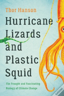 Capa do artigo Hurricane Lizards And Plastic Squid