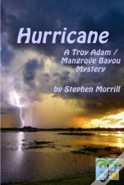 Capa do artigo Hurricane