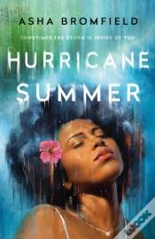 Capa do artigo Hurricane Summer