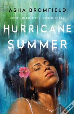 Capa do artigo Hurricane Summer