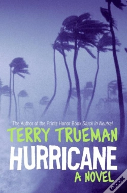 Capa do artigo Hurricane