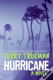 Capa do artigo Hurricane