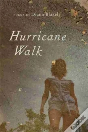 Capa do artigo Hurricane Walk