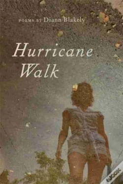 Capa do artigo Hurricane Walk