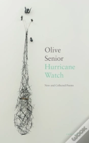 Capa do artigo Hurricane Watch