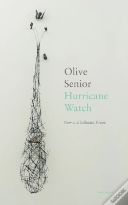Capa do artigo Hurricane Watch