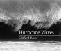 Hurricane Waves - Preview
