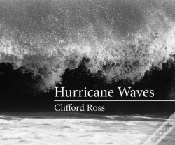 Capa do artigo Hurricane Waves