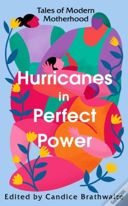 Capa do artigo Hurricanes In Perfect Power