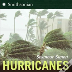 Capa do artigo Hurricanes