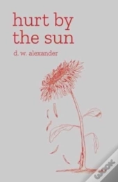 Hurt By The Sun