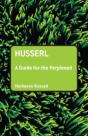 Husserl: A Guide For The Perplexed - Preview
