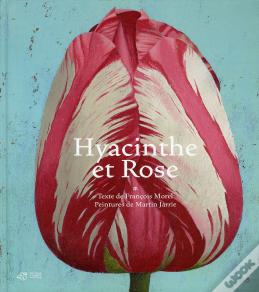 Hyacinthe Et Rose
