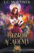 Hybrid Academy