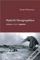 Hybrid Geographies