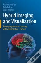 Hybrid Imaging And Visualization