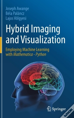 Capa do artigo Hybrid Imaging And Visualization