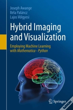Capa do artigo Hybrid Imaging And Visualization