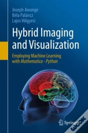 Capa do artigo Hybrid Imaging And Visualization