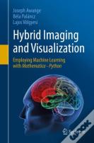 Hybrid Imaging And Visualization