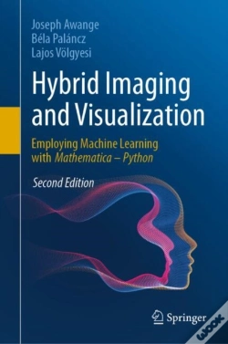 Capa do artigo Hybrid Imaging And Visualization