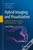 Hybrid Imaging And Visualization