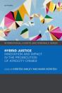 Hybrid Justice - Preview