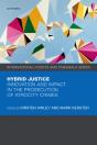 Hybrid Justice - Preview