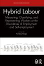 Hybrid Labour - Preview