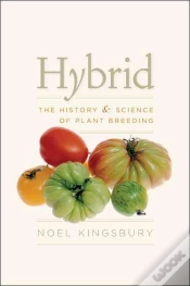 Capa do artigo Hybrid