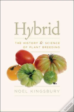 Capa do artigo Hybrid