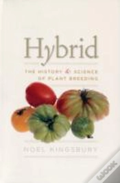 Capa do artigo Hybrid