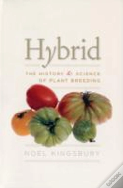 Capa do artigo Hybrid