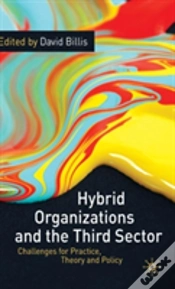 Capa do artigo Hybrid Organizations And The Third Sector
