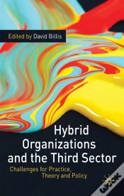 Capa do artigo Hybrid Organizations And The Third Sector