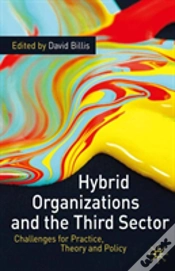 Capa do artigo Hybrid Organizations & The Third Sector