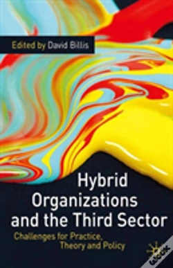 Capa do artigo Hybrid Organizations & The Third Sector