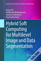 Hybrid Soft Computing For Multilevel Image And Data Segmentation