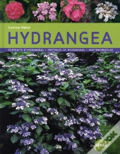 Hydrangea (Francais-Anglais-Allemand)