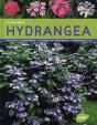 Hydrangea (Francais-Anglais-Allemand) - Preview