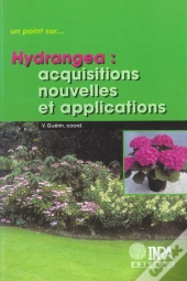 Hydrangea.