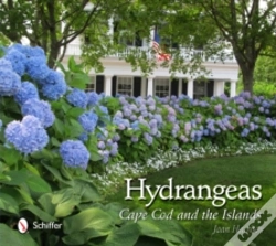 Capa do artigo Hydrangeas