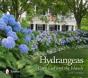 Hydrangeas - Preview