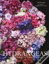 Hydrangeas